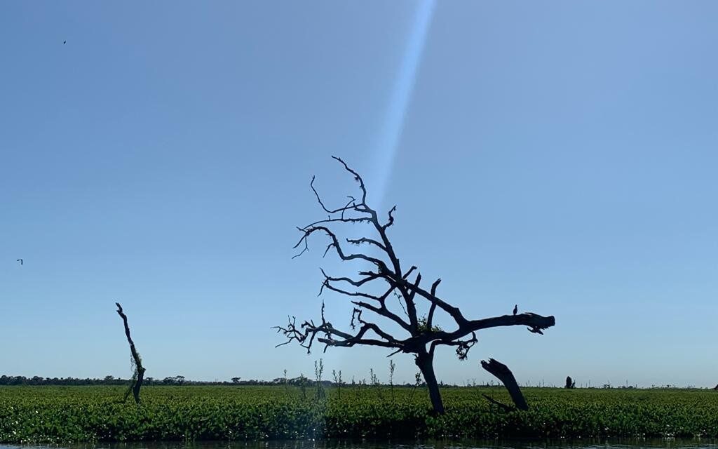 Série Especial da TV Fronteira Explora a Biodiversidade e os Desafios da Foz do Rio do Peixe no Oeste Paulista