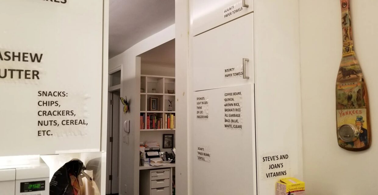 Desafios e Adaptações no Cuidado a Pessoas com Deficiência: Pesquisa Revela Lacunas e Iniciativas Domésticas