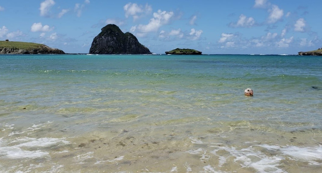 ICMBio suspende temporariamente mergulhos na Praia do Sueste em Fernando de Noronha devido à presença de tubarões-tigre