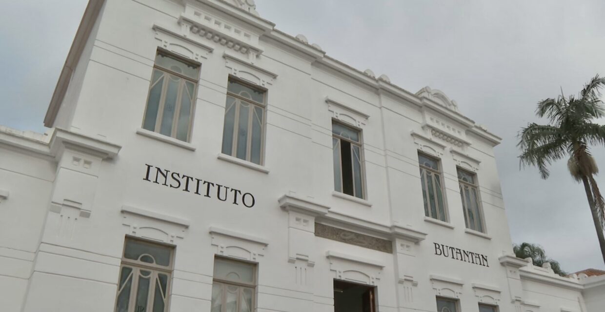 Instituto Butantan inicia desenvolvimento de vacina contra gripe aviária no Brasil