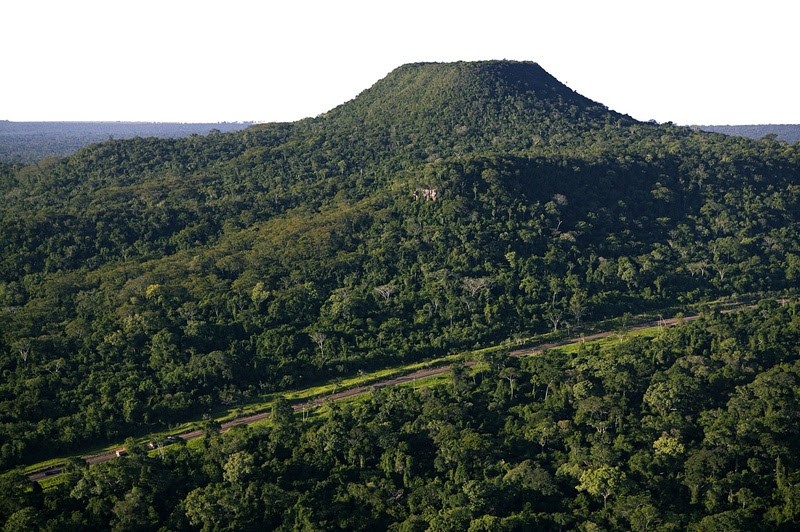 São Paulo destina R$ 23 milhões para proteção da fauna no entorno do Parque Estadual do Morro do Diabo
