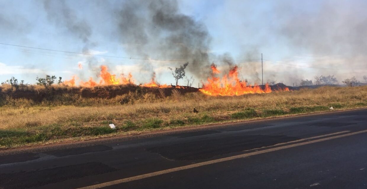 Corpo de Bombeiros atua em múltiplos focos de incêndio no Distrito Industrial de Uberlândia