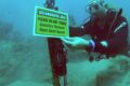Estudo Avalia Impactos do Ruído Ambiental na Comunicação de Golfinhos em Fernando de Noronha