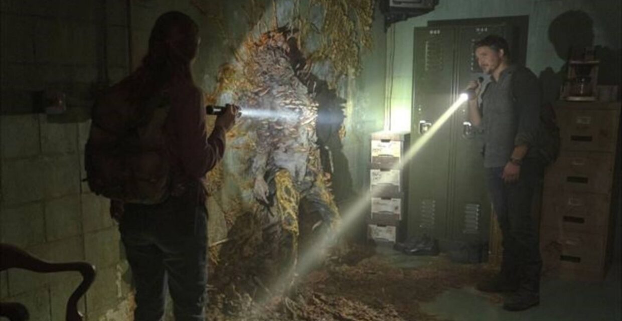Pandemias fúngicas: realidade e limites da ameaça inspirada em ‘The Last of Us’