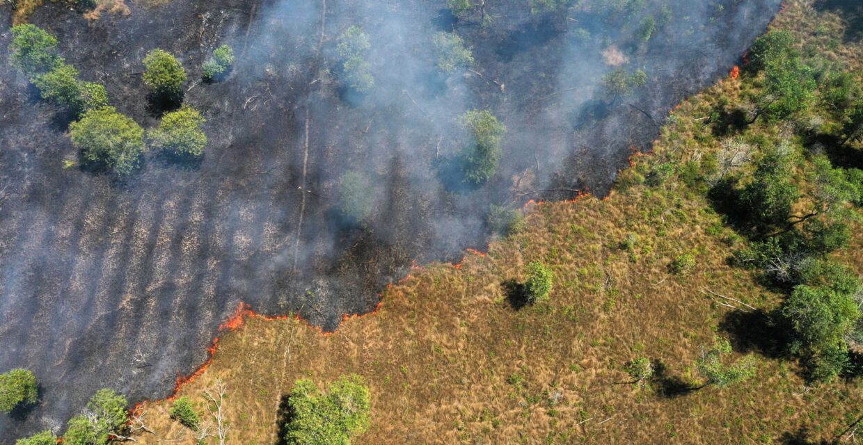 Singular ou plural: a terminologia e o contexto das mudanças climáticas no Brasil